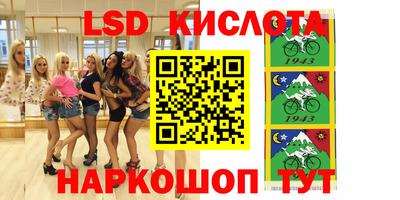 стаф Краснодар