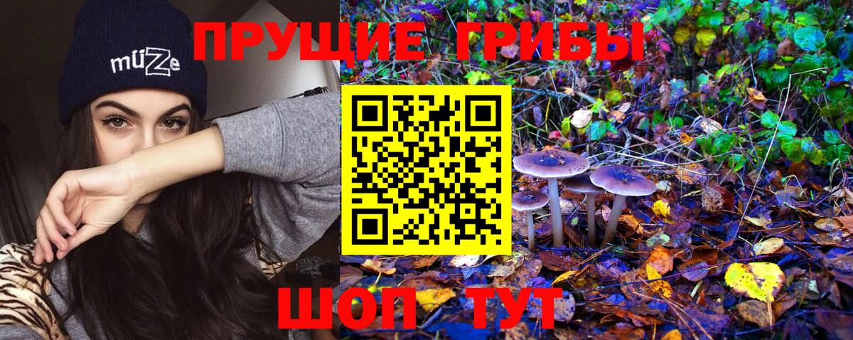 Краснокаменск  Псилоцибиновые грибы GOLDEN TEACHER  Галлюциногенные грибы GOLDEN TEACHER  Вход с VPN 